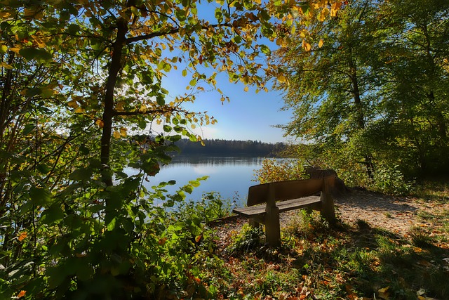 未来走向 未来走向