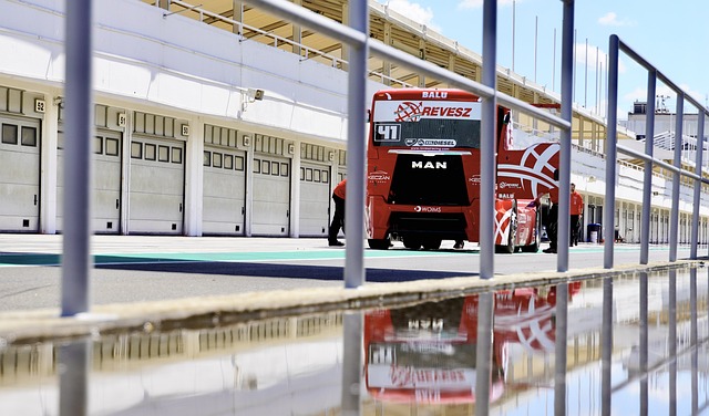 的球迷来说 的球迷来说