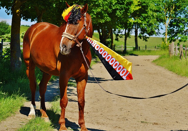 夜晚则可以 夜晚则可以