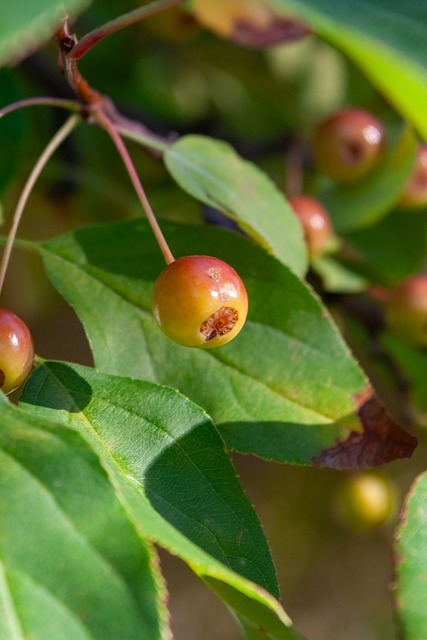 合同可能会 合同可能会