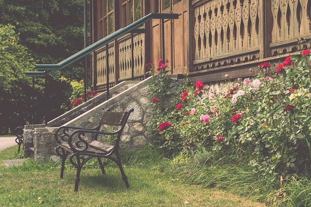 快船的强劲 快船的强劲